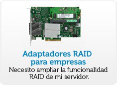 Enterprise RAID Adapters 